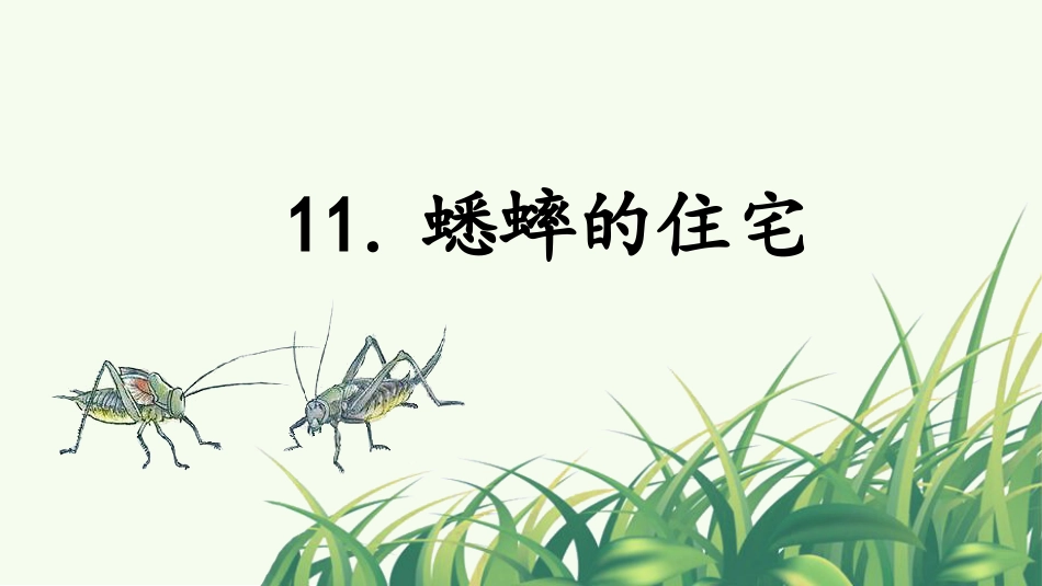 四年级语文上册部编版（教学课件）11.蟋蟀的住宅.pptx_第2页