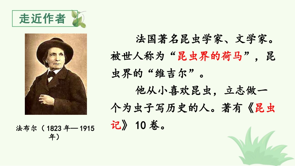 四年级语文上册部编版（教学课件）11.蟋蟀的住宅.pptx_第3页