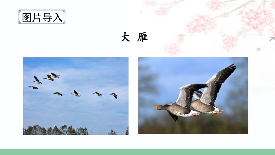 四年级语文上册部编版（教学课件）16.麻雀.pptx_第2页