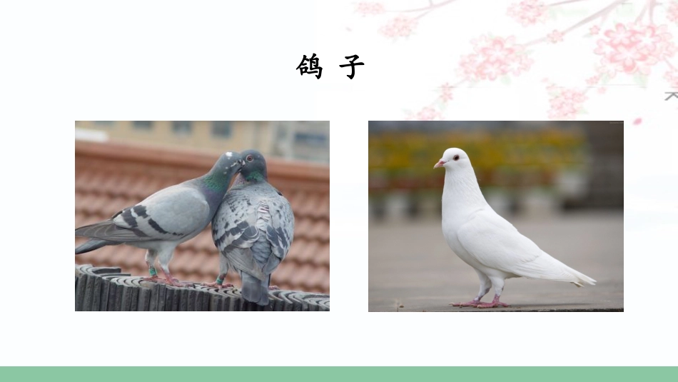 四年级语文上册部编版（教学课件）16.麻雀.pptx_第3页