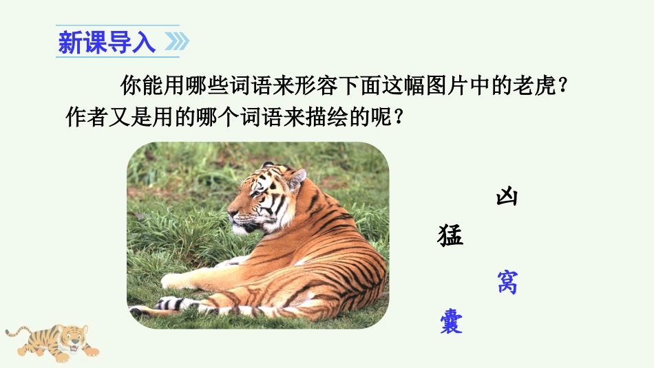 四年级语文上册部编版（教学课件）19 一只窝囊的大老虎.pptx_第1页