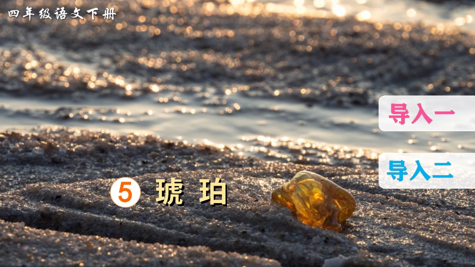 四年级语文下册部编版-5 琥珀（课件）.ppt_第3页