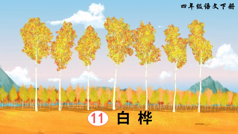 四年级语文下册部编版-11 白桦（课件）.ppt_第2页
