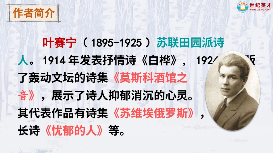 四年级语文下册部编版-11 白桦（课件）.ppt_第3页