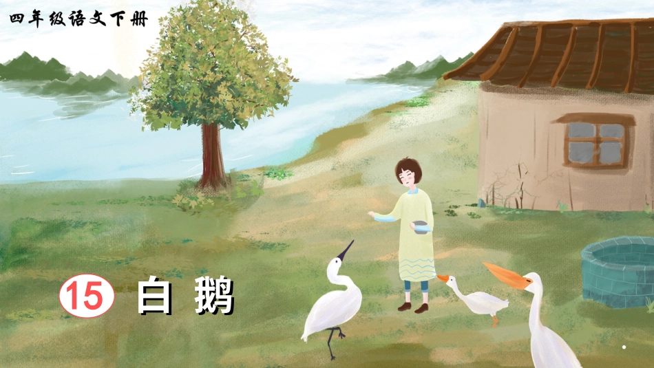 四年级语文下册部编版-15 白鹅（课件）.ppt_第3页