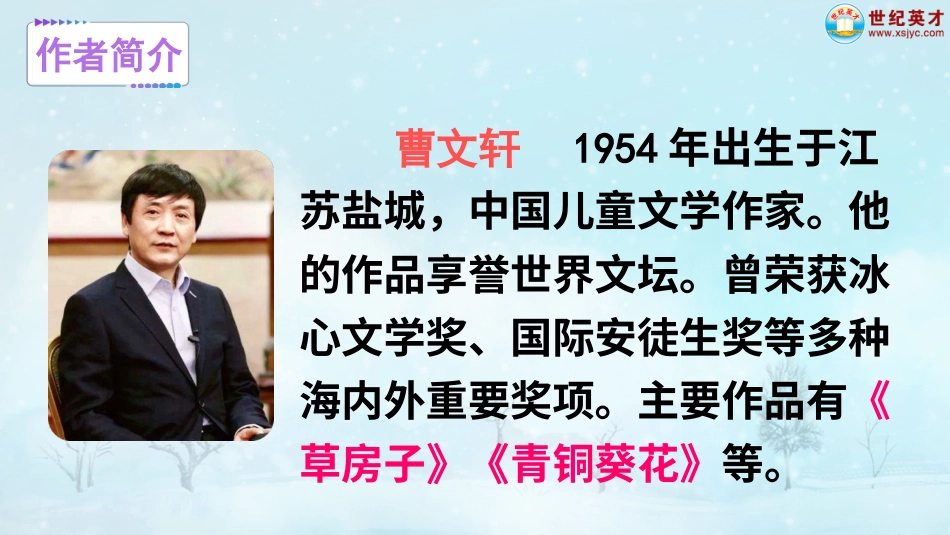 四年级语文下册部编版-21 芦花鞋（课件）.ppt_第3页