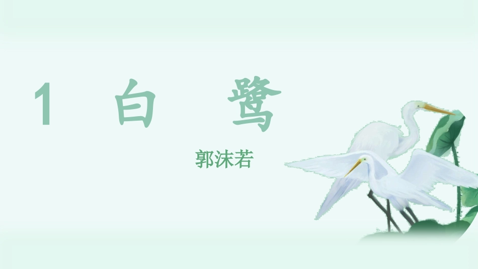 五年级上册语文部编版-（教学课件）1.白鹭.pptx_第3页