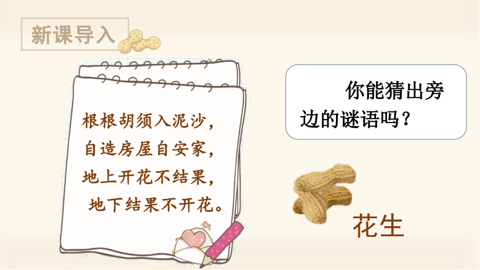 五年级上册语文部编版-（教学课件）2.落花生.pptx_第1页