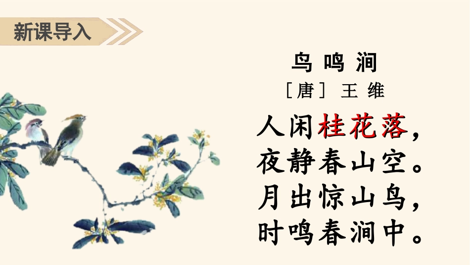 五年级上册语文部编版-（教学课件）3.桂花雨.pptx_第1页