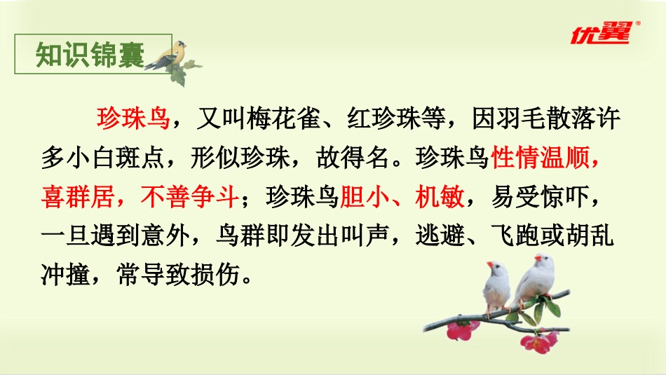 五年级上册语文部编版-（教学课件）4.珍珠鸟.pptx_第2页