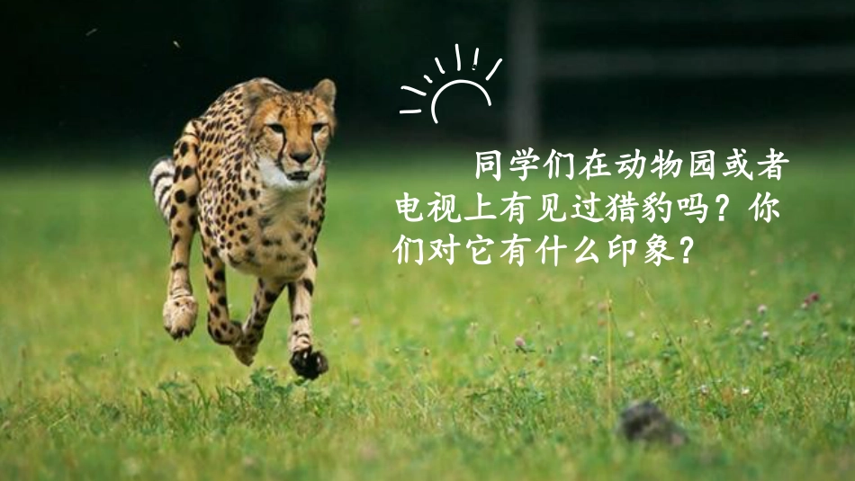 五年级上册语文部编版-（教学课件）7.什么比猎豹的速度更快.pptx_第1页