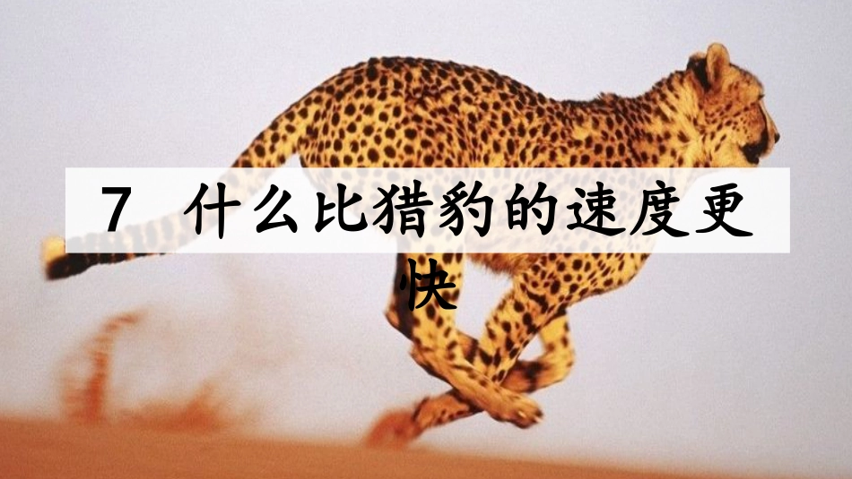 五年级上册语文部编版-（教学课件）7.什么比猎豹的速度更快.pptx_第2页