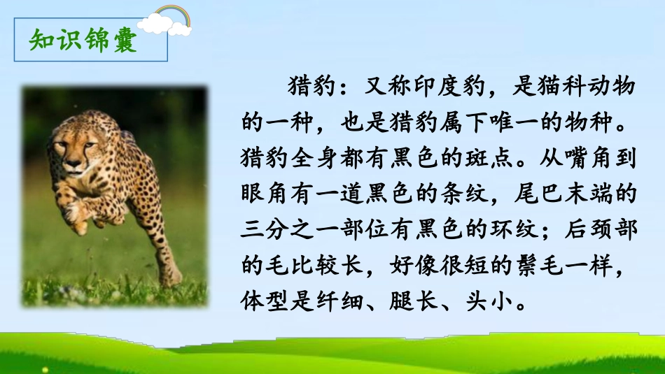 五年级上册语文部编版-（教学课件）7.什么比猎豹的速度更快.pptx_第3页