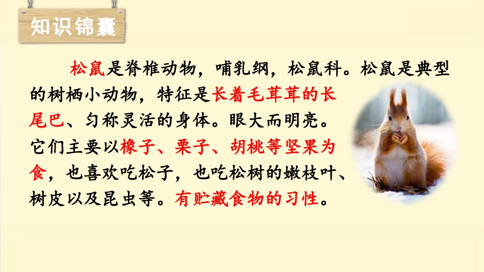 五年级上册语文部编版-（教学课件）17.松鼠.pptx_第3页