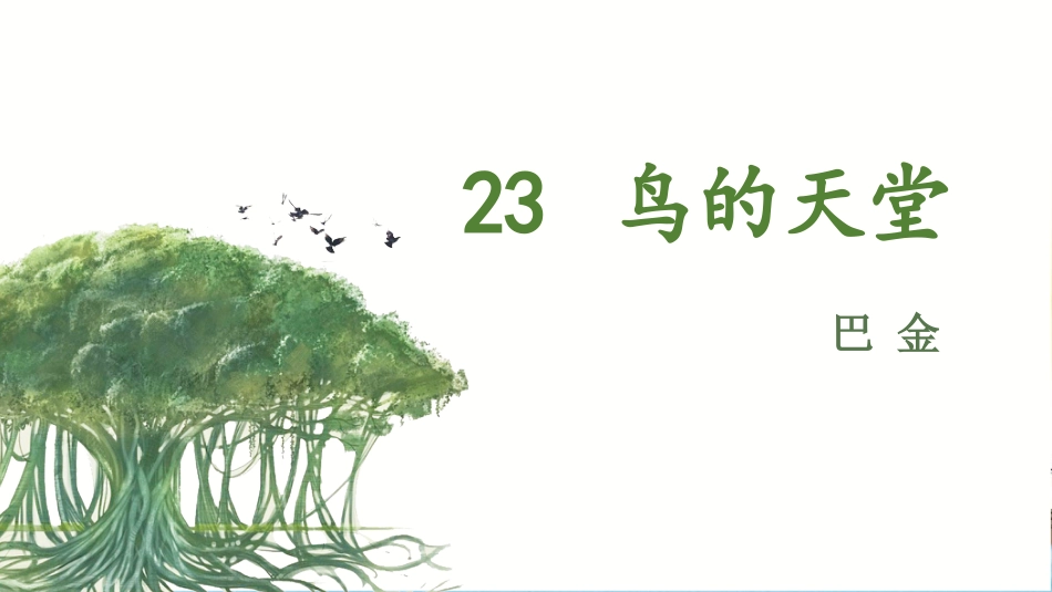 五年级上册语文部编版-（教学课件）23.鸟的天堂.pptx_第2页