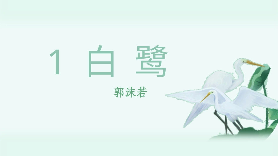 五年级上册语文部编版-（上课课件）1.白鹭.pptx_第3页