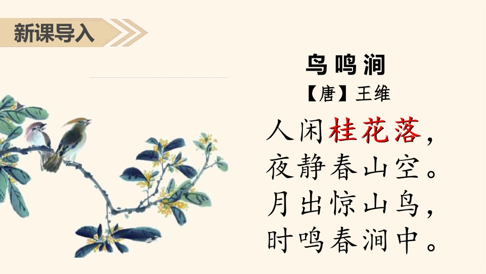五年级上册语文部编版-（上课课件）3.桂花雨.pptx_第1页