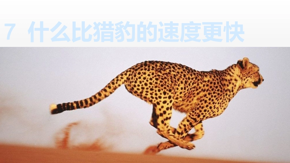 五年级上册语文部编版-（上课课件）7.什么比猎豹的速度更快.pptx_第2页