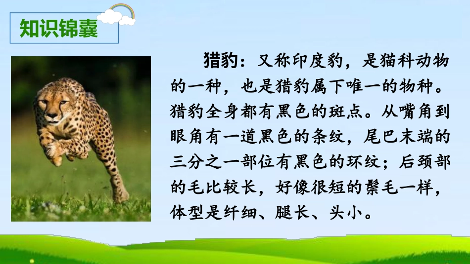 五年级上册语文部编版-（上课课件）7.什么比猎豹的速度更快.pptx_第3页