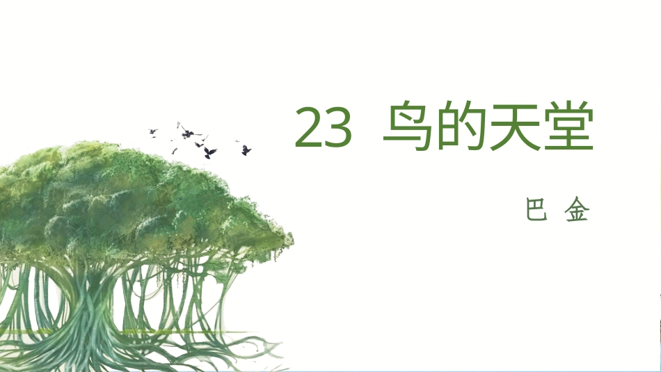 五年级上册语文部编版-（上课课件）23.鸟的天堂.pptx_第2页