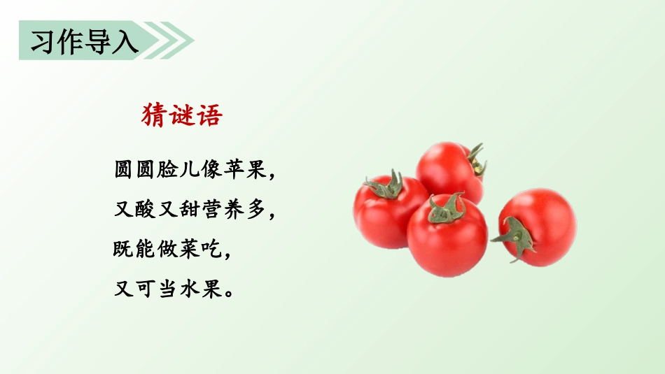 五年级上册语文部编版-（上课课件）习作五   介绍一种事物.pptx_第1页