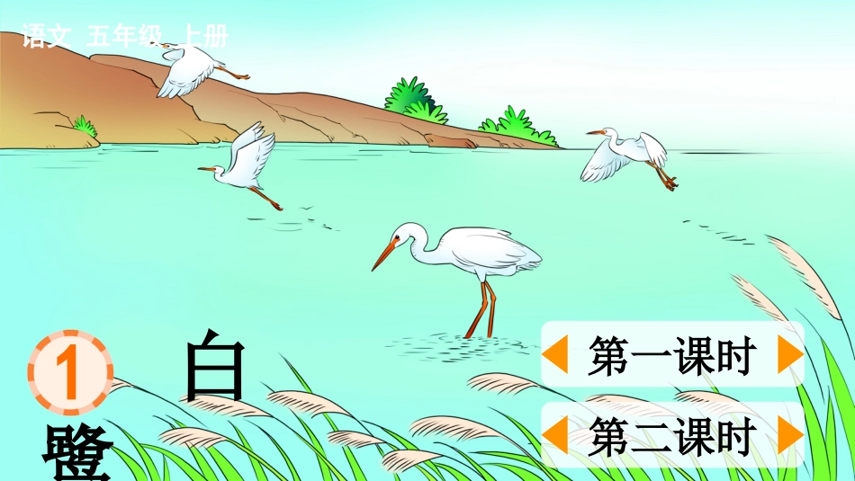五年级语文上册部编版-（课件）1 白鹭.pptx_第1页
