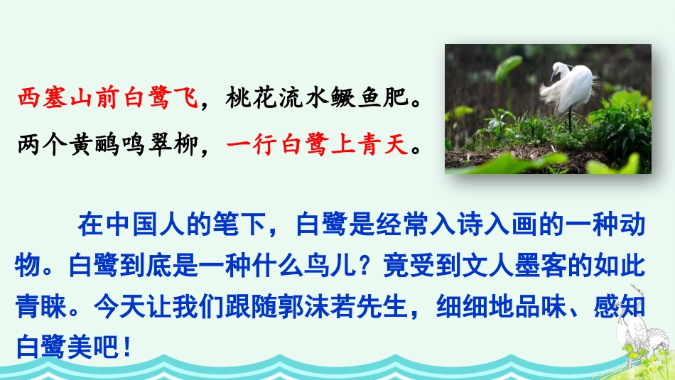 五年级语文上册部编版-（课件）1 白鹭.pptx_第3页