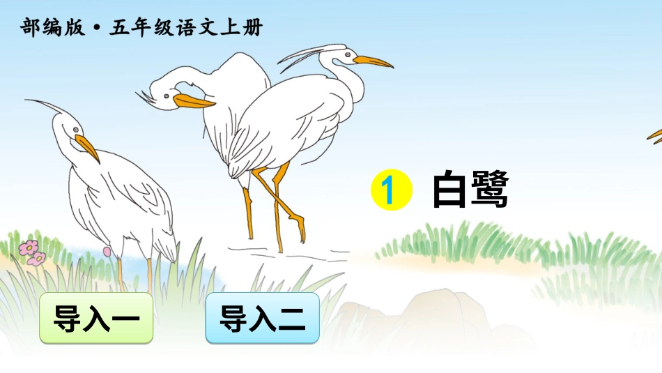 五年级语文上册部编版-（课件）1 白鹭【交互版】.ppt_第1页