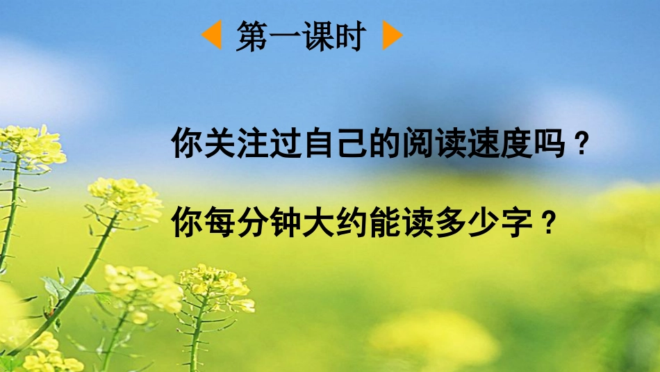 五年级语文上册部编版-（课件）5 搭石.pptx_第2页
