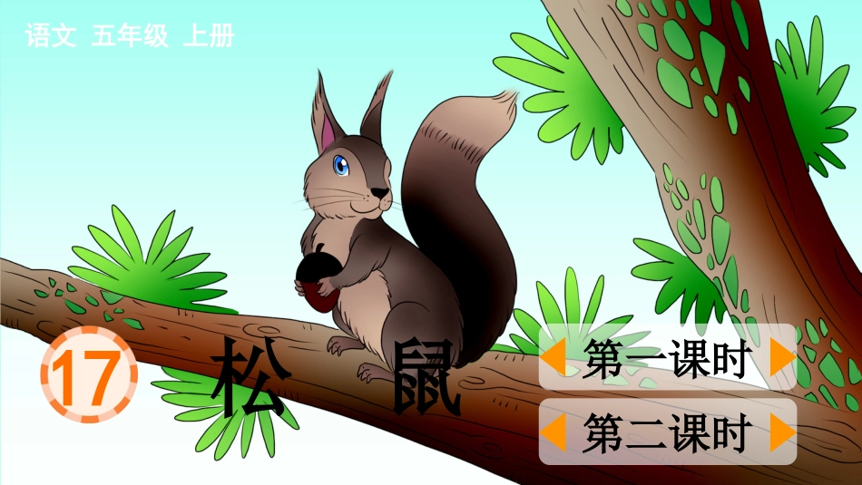 五年级语文上册部编版-（课件）17 松鼠.pptx_第1页