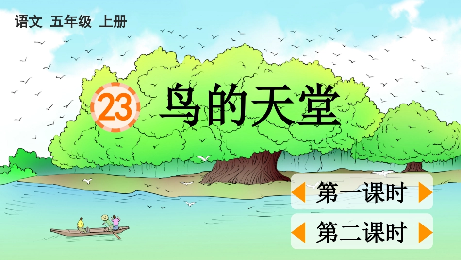 五年级语文上册部编版-（课件）23 鸟的天堂.pptx_第1页