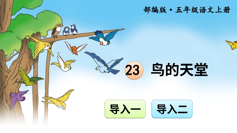 五年级语文上册部编版-（课件）23 鸟的天堂【交互版】.ppt_第1页