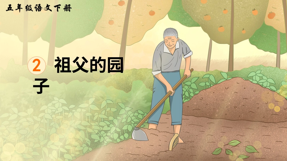 五年级语文下册部编版-2 祖父的园子（课件）.ppt_第3页
