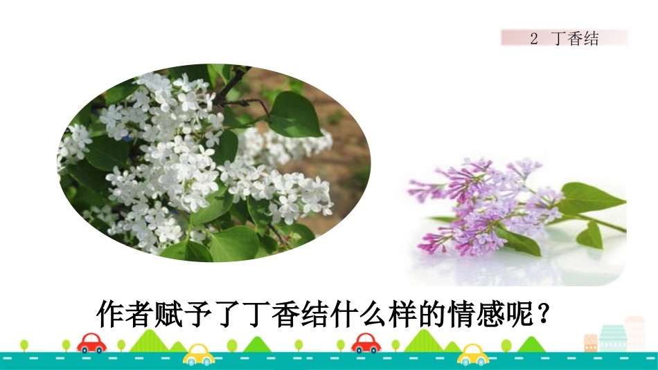 【部编版】六年级上册语文-2 丁香结【标准版】.pptx_第3页