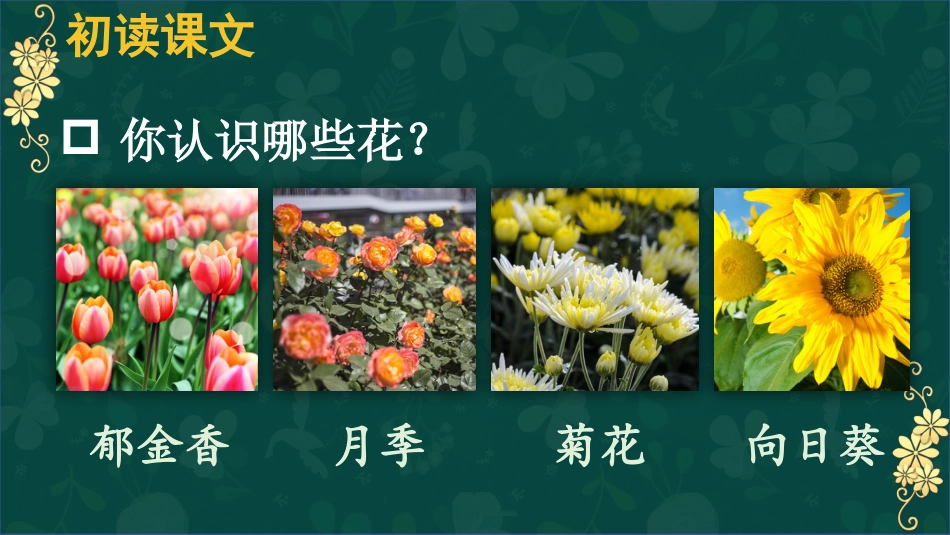 【部编版】六年级上册语文-4 花之歌.pptx_第2页