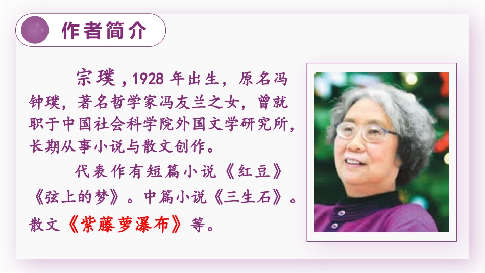 六年级上册语文部编版-02 丁香结.pptx_第3页