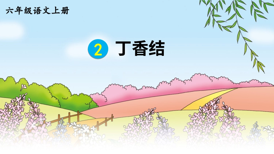 六年级上册语文部编版-2 丁香结 .ppt_第3页