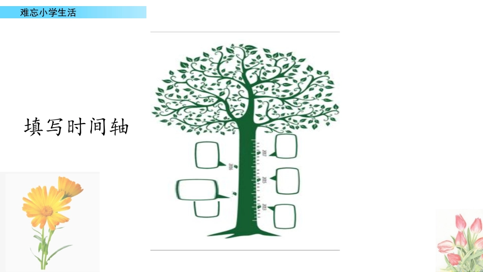 【部编版】六年级下册语文-3-4.制作成长纪念册.pptx_第3页