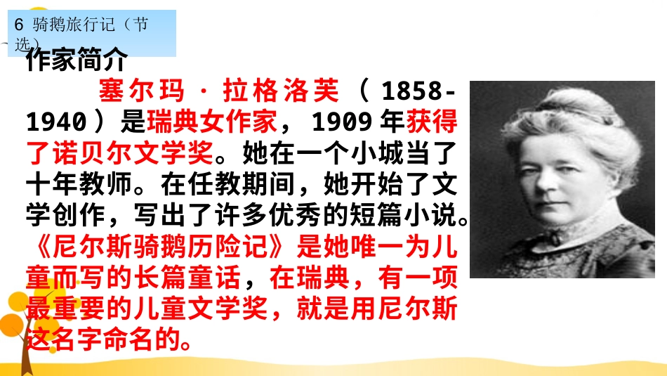 【部编版】六年级下册语文-6 骑鹅旅行记（节选）【标准版】.ppt_第3页