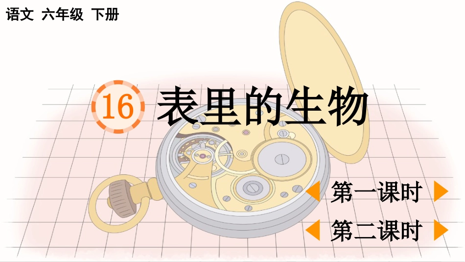 【部编版】六年级下册语文-16 表里的生物【优质版】.pptx_第1页