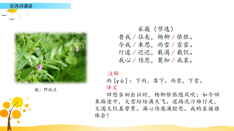 【部编版】六年级下册语文-古诗词诵读【标准版】.pptx_第3页