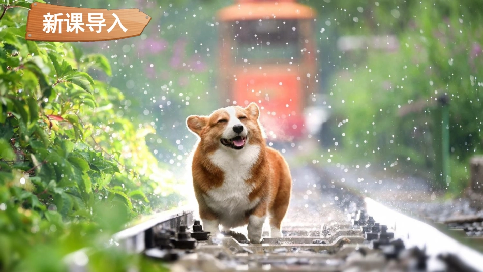人教版小学道德与法治一年级下册7 可爱的动物.pptx_第2页