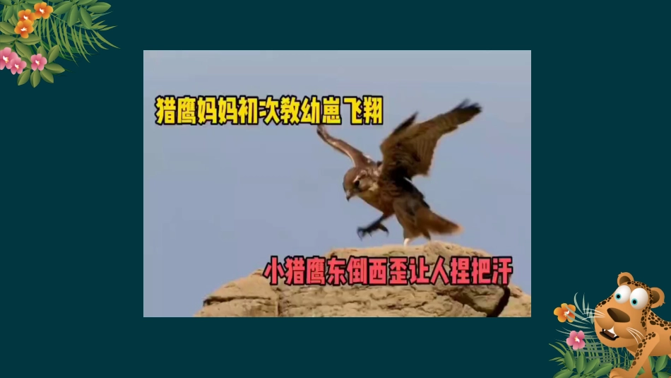 二年级道德与法治下册-1.1我的第一次（教学课件）-（统编版）.pptx_第1页