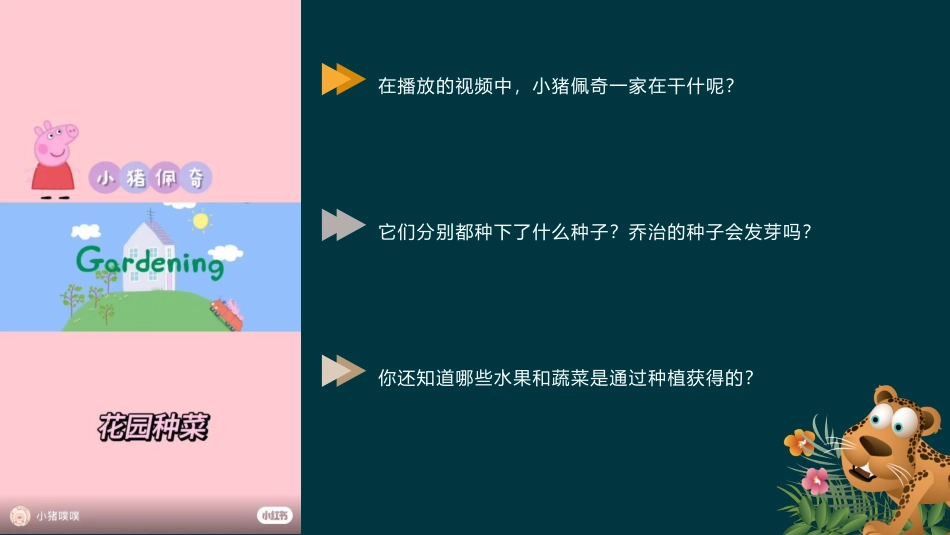 二年级道德与法治下册-4.1奇妙的生命（教学课件）-（统编版）.pptx_第1页