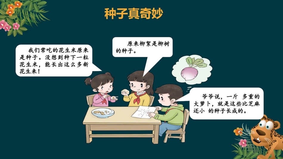 二年级道德与法治下册-4.1奇妙的生命（教学课件）-（统编版）.pptx_第3页