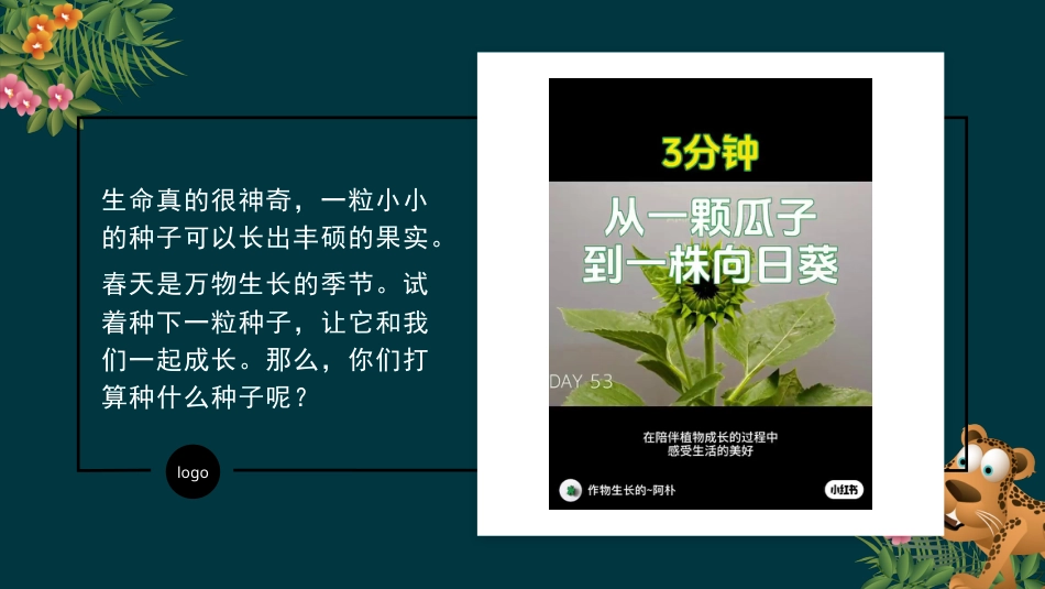 二年级道德与法治下册-4.2我也来种一粒籽（教学课件）-（统编版）.pptx_第1页