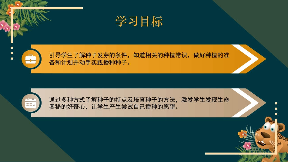 二年级道德与法治下册-4.2我也来种一粒籽（教学课件）-（统编版）.pptx_第3页