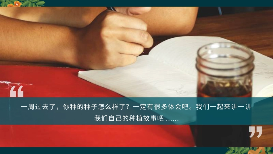 二年级道德与法治下册-4.3我们的收获（教学课件）-（统编版）.pptx_第2页