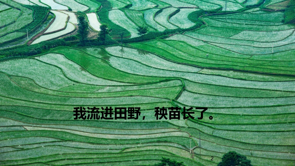 二年级道德与法治下册-9.1我很珍贵（教学课件）-（统编版）.pptx_第2页