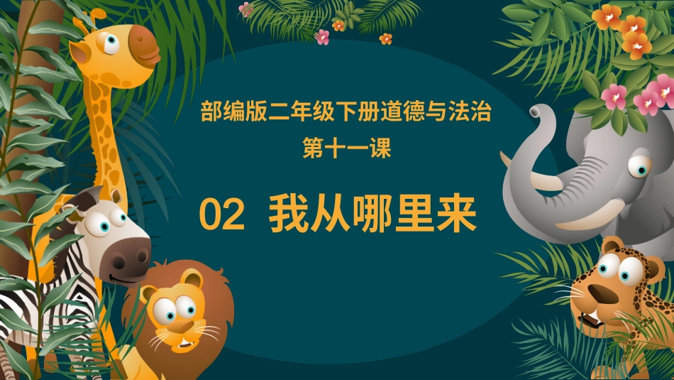 二年级道德与法治下册-11.2我从哪里来（教学课件）-（统编版）.pptx_第3页